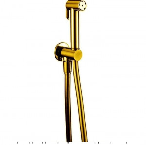 Гигиенический душ Cisal Shower A300791024 со шлангом 120 см, вывод с держателем, цвет золото